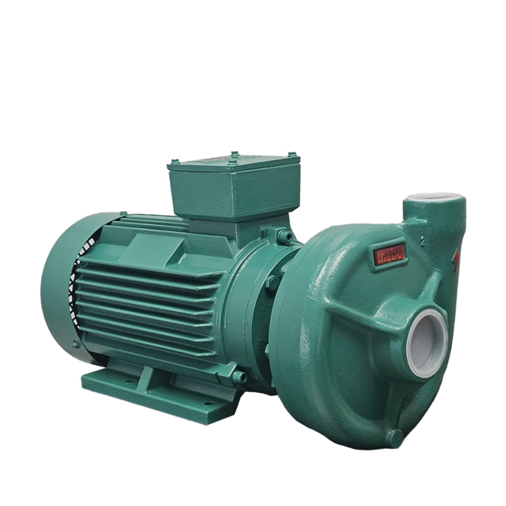 BOMBA CENTRÍFUGA MONOESTÁGIO THS-18 5,0 CV MOTOR TRIFÁSICO THEBE