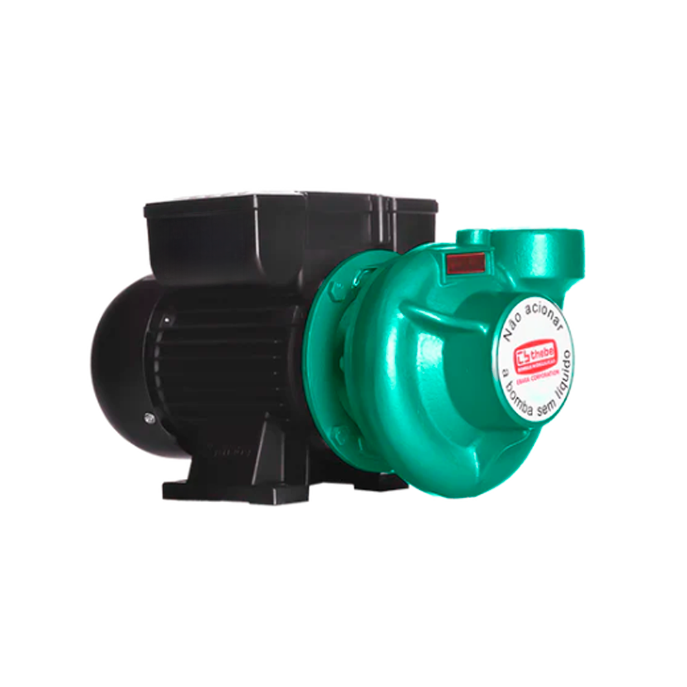 BOMBA CENTRÍFUGA MONOESTÁGIO THL-13 3,0 CV MONOFÁSICO MOTOR THEBE BOMBA CENTRÍFUGA MONOESTÁGIO THL-13 3,0 CV MONOFÁSICO MOTOR THEBE