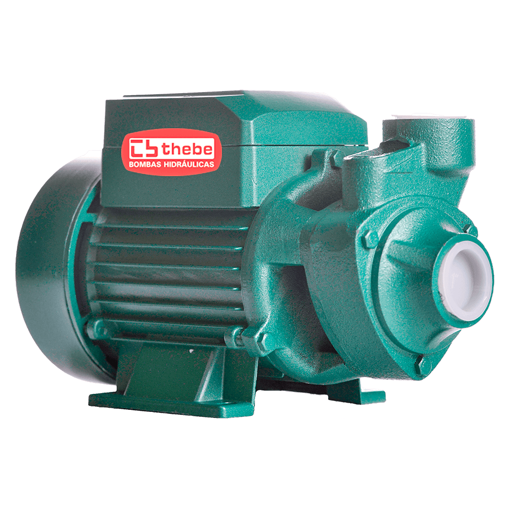 Bombas Threadbare BOMBA MONOESTÁGIO TP-60 JR 1/2 cv MONOFÁSICO MOTOR THEBE IP44 127V ...