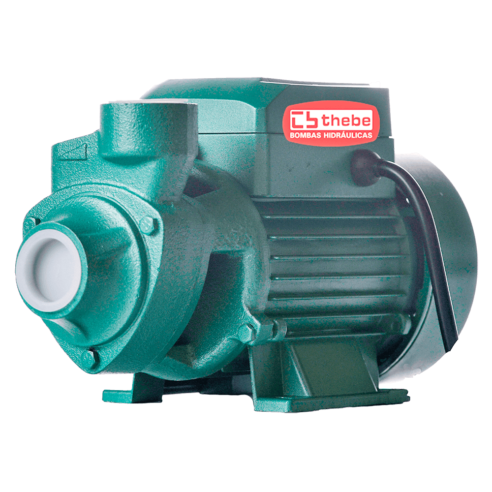Bombas Threadbare BOMBA MONOESTÁGIO TP-60 JR 1/2 cv MONOFÁSICO MOTOR THEBE IP44 127V ...