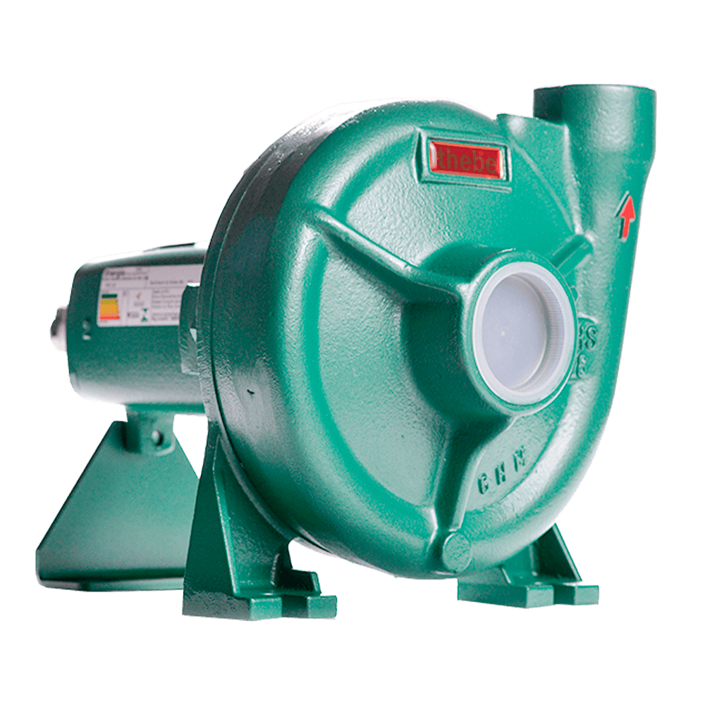 BOMBA CENTRÍFUGA MONOESTÁGIO MANCALIZADA THS-18 10,0 CV ROTOR 172MM