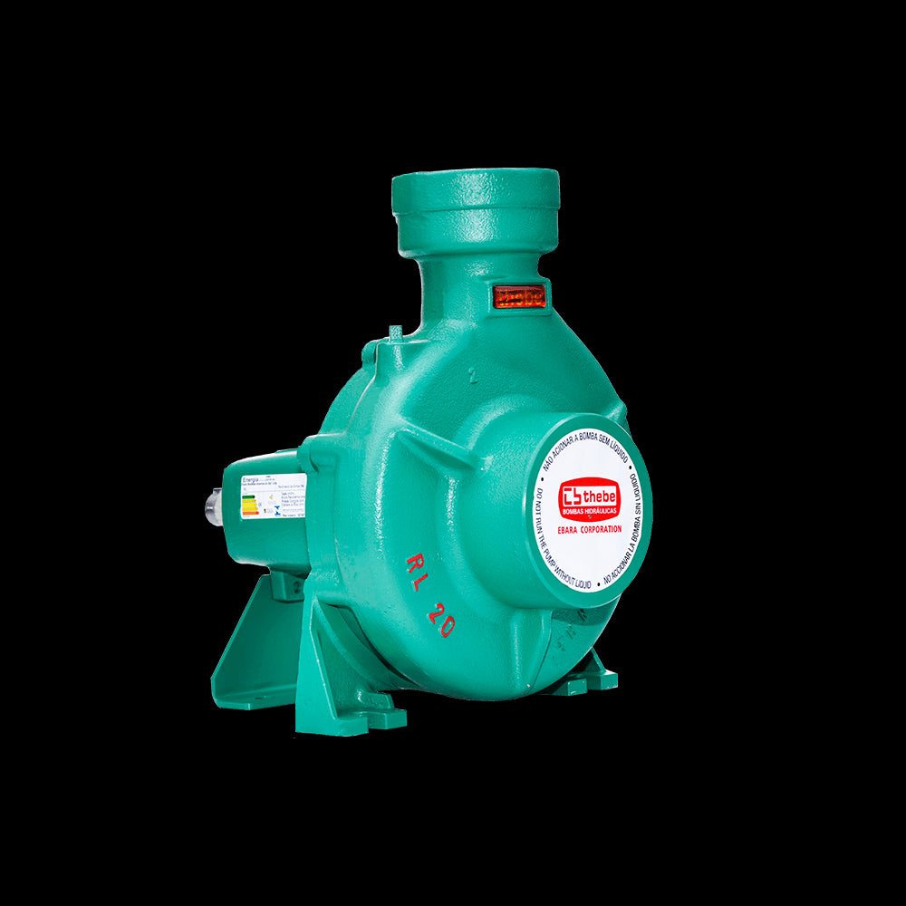 BOMBA MONOESTÁGIO MANCALIZADA RL-20B(R) ROTOR 20x157MM SELO MEC. 1" T12 CARBETO SILICIO/VITON