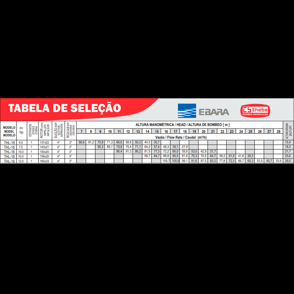 EBARA Brazil Store
