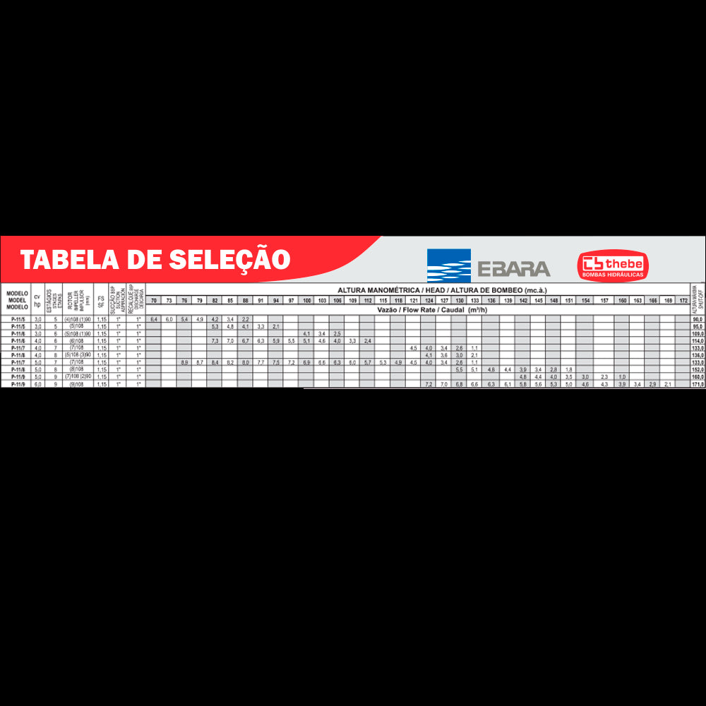 EBARA Brazil Store