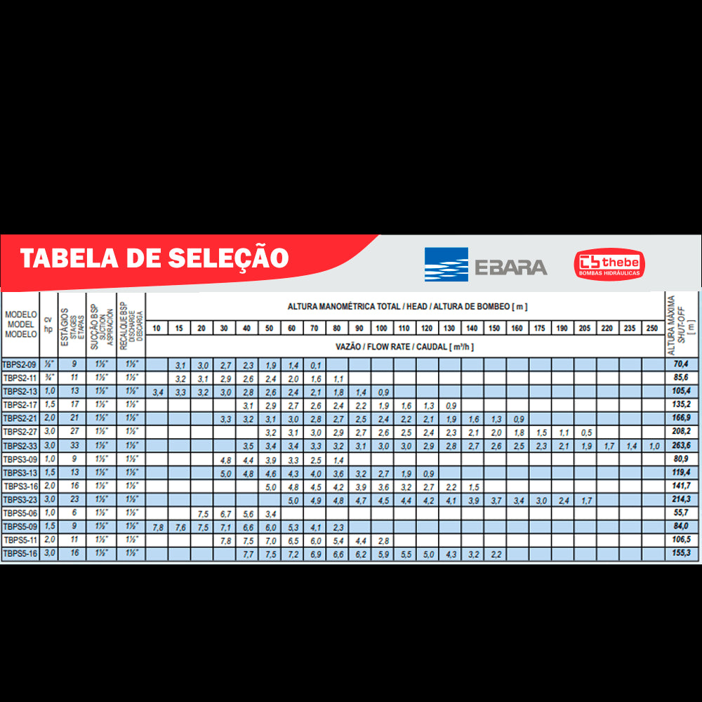 EBARA Brazil Store