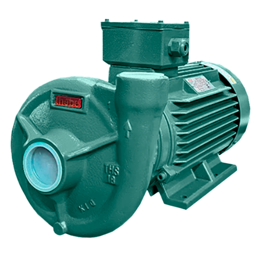 BOMBA CENTRÍFUGA MONOESTÁGIO THS-18 5,0 CV MOTOR TRIFÁSICO THEBE