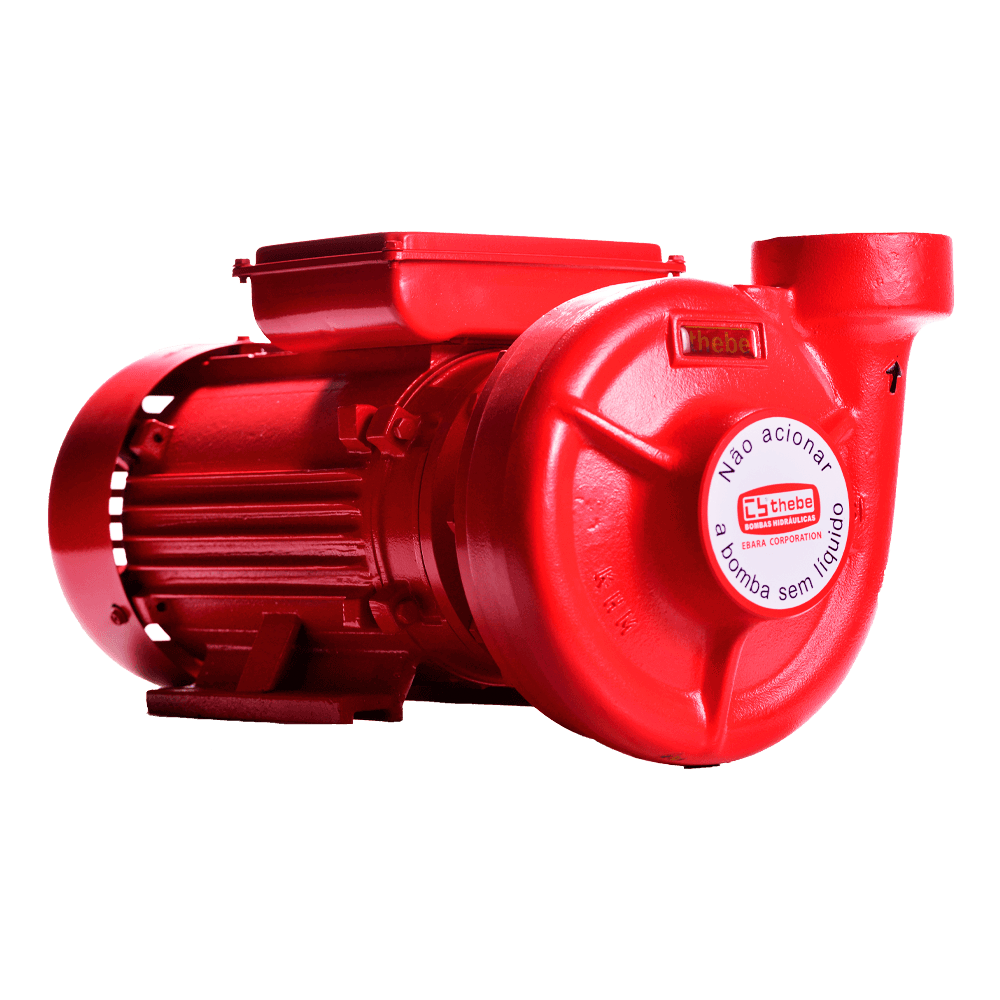 Bombas Threadbare BOMBA THSI-18 5,0 CV MONOFÁSICA IP55 220/440V MOTOR THEBE ROTOR 156MM ...