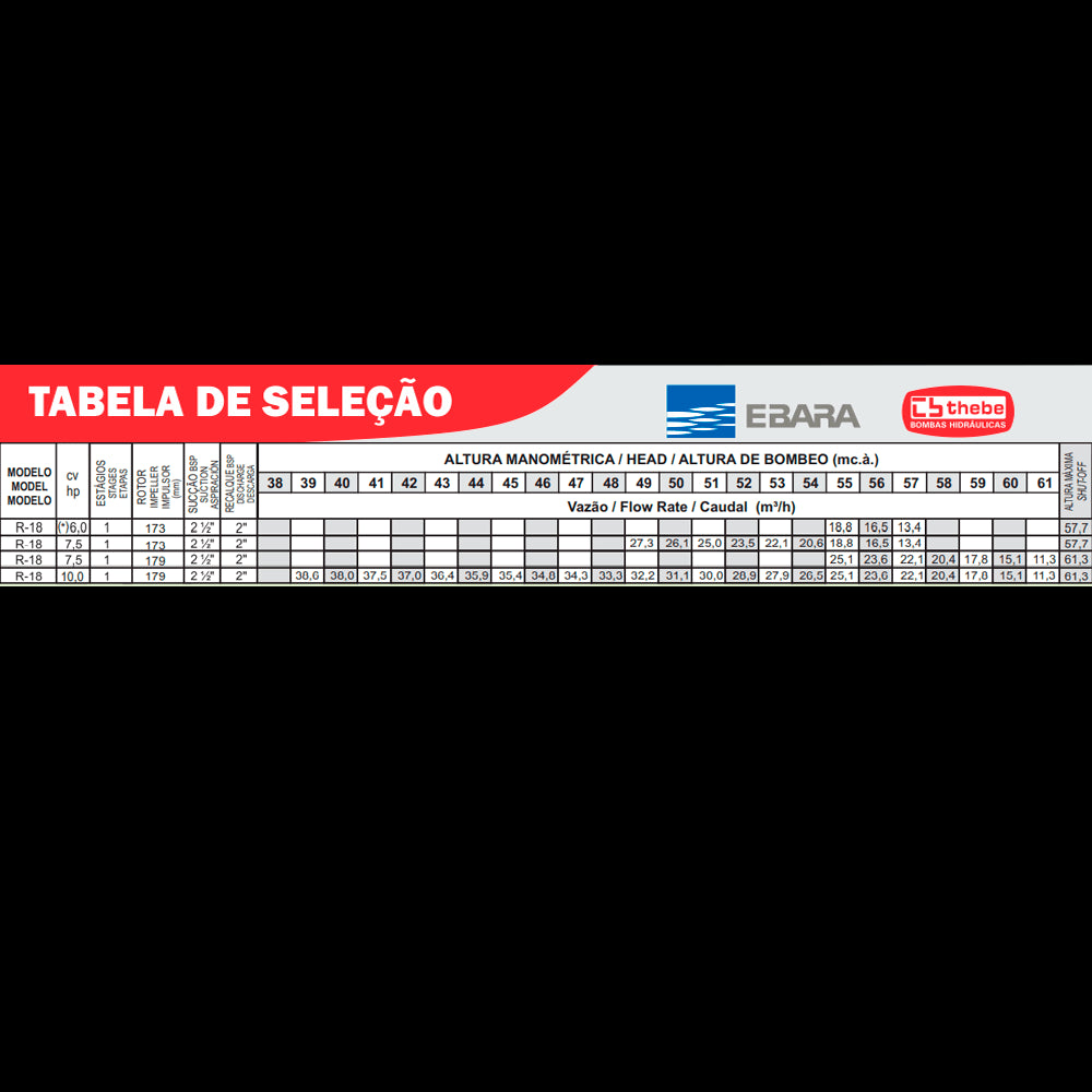 EBARA Brazil Store