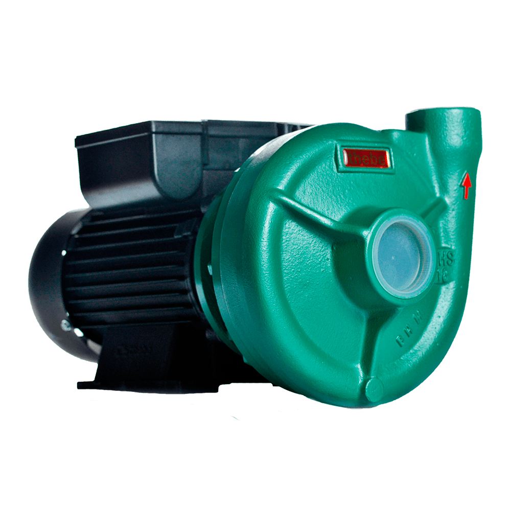 BOMBA CENTRÍFUGA MONOESTÁGIO THS-18 3,0 CV MOTOR MONOFÁSICO THEBE IP55 ROTOR 123MM 127/220-254V SELO MECÂNICO 1.1/4" BUNA T12