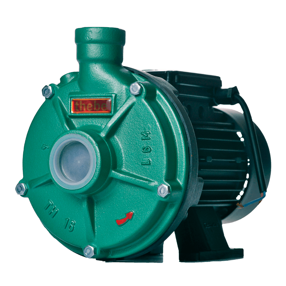 Bombas Threadbare BOMBA MONOESTÁGIO TH-16 NR 3/4 cv ØROTOR 125mm MONOFÁSICO MOTOR THEBE ...