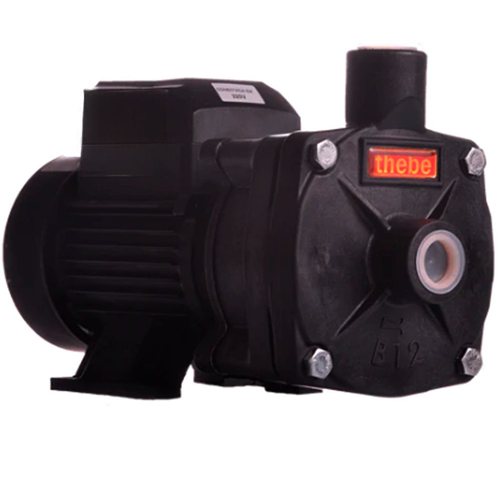 Bombas Threadbare BOMBA MONOESTÁGIO B-12 P 1/2 CV MOTOR MONOFÁSICO THEBE IP55.2P.127/220 ...